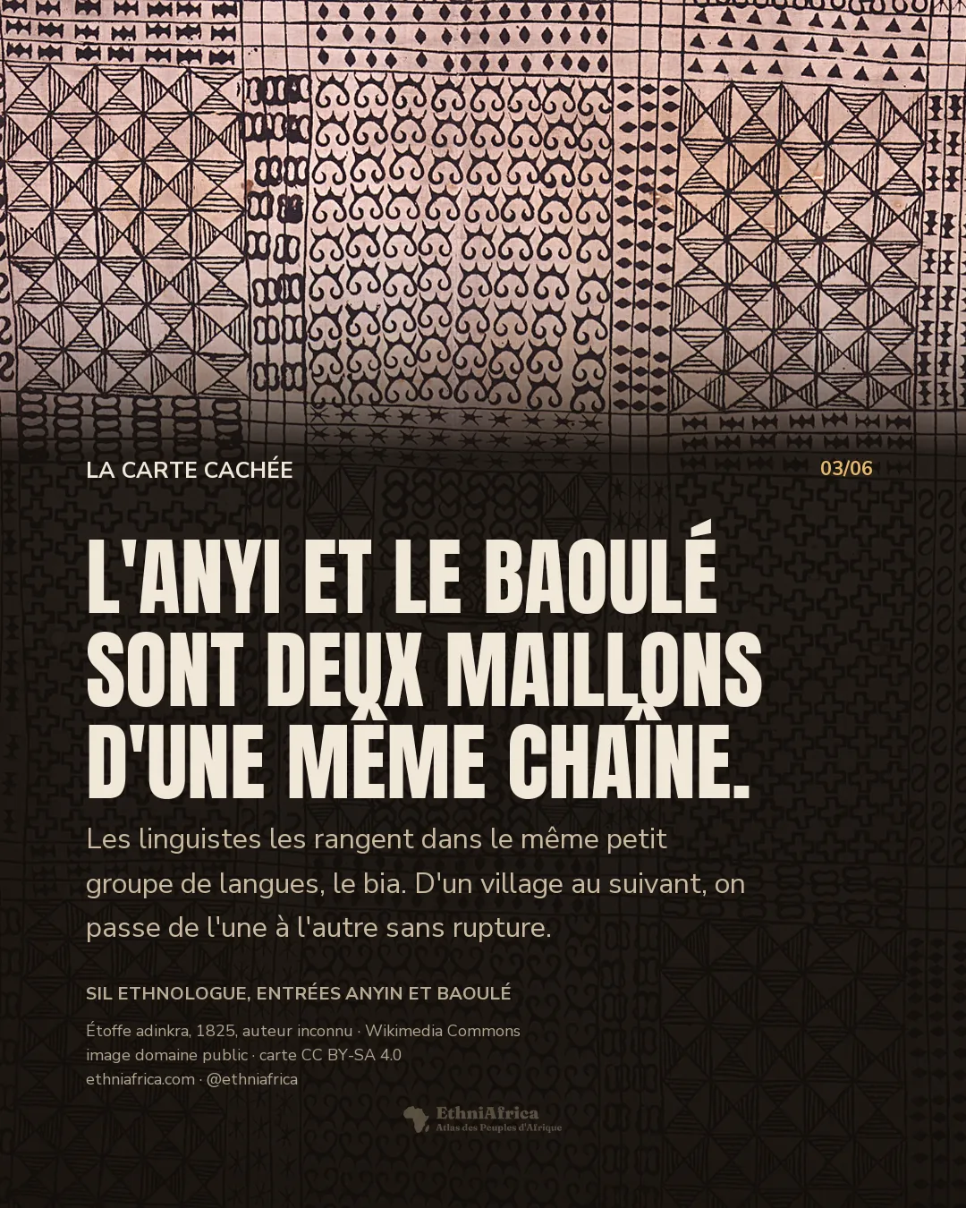une étoffe adinkra de 1825 : une grille de panneaux séparés par des traits peignés, chacun estampé d'un motif répété, spirales, croix, triangles et entrelacs en noir sur un fond rose pâle, et au centre un petit écu à deux figures animales dressées