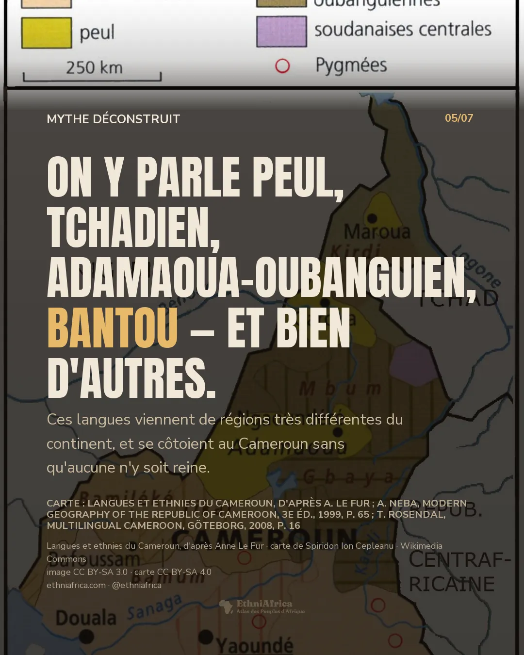 une carte du Cameroun découpée en zones de couleur par langue et ethnie — nigéro-congolaises du centre-sud dont bantoues au sud, tchadiennes et adamaoua-oubanguiennes au nord, poches peul, soudanaises centrales, et cercles marquant des populations pygmées — avec les grandes villes et les pays voisins nommés