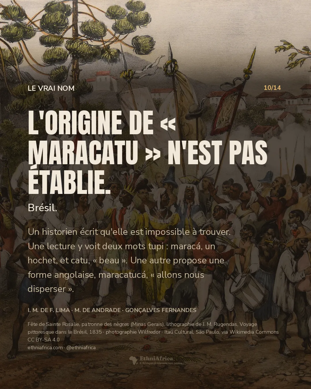 Une lithographie coloriée : au centre, un homme couronné de plumes en habit vert et jaune et une femme en robe jaune sont acclamés par une foule ; musiciens (tambour, cornemuse), bannières, coups de fusil avec fumée, un cavalier à gauche et une ville à églises au fond.
