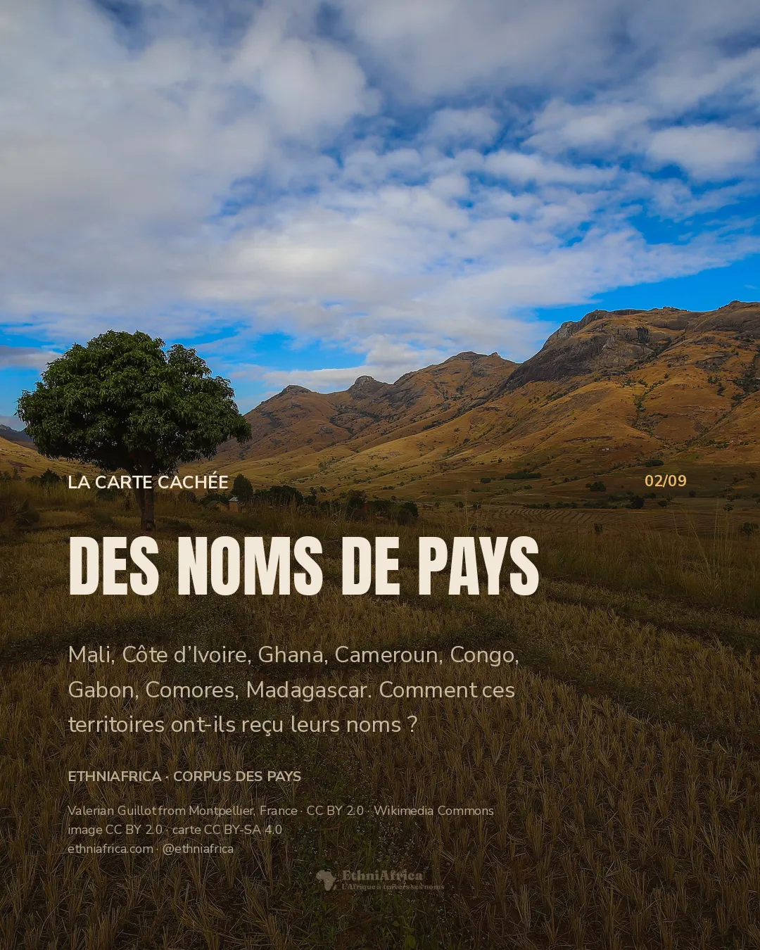 Des parcelles agricoles aux tons dorés occupent une vallée entre des reliefs, avec un arbre au premier plan.