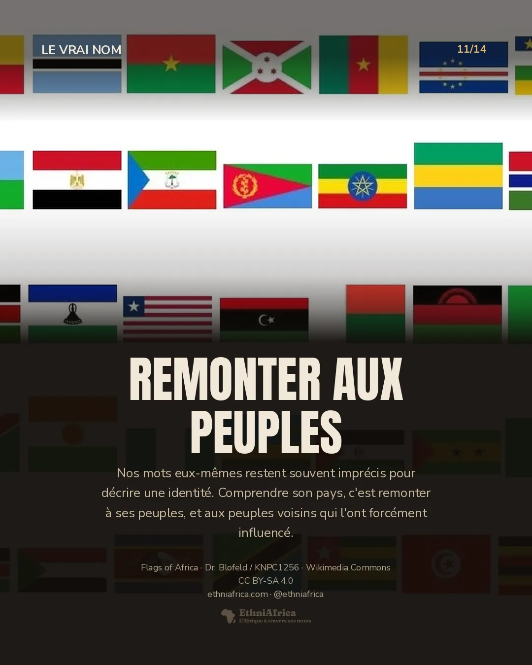 composition de nombreux drapeaux de pays africains alignés en rangées